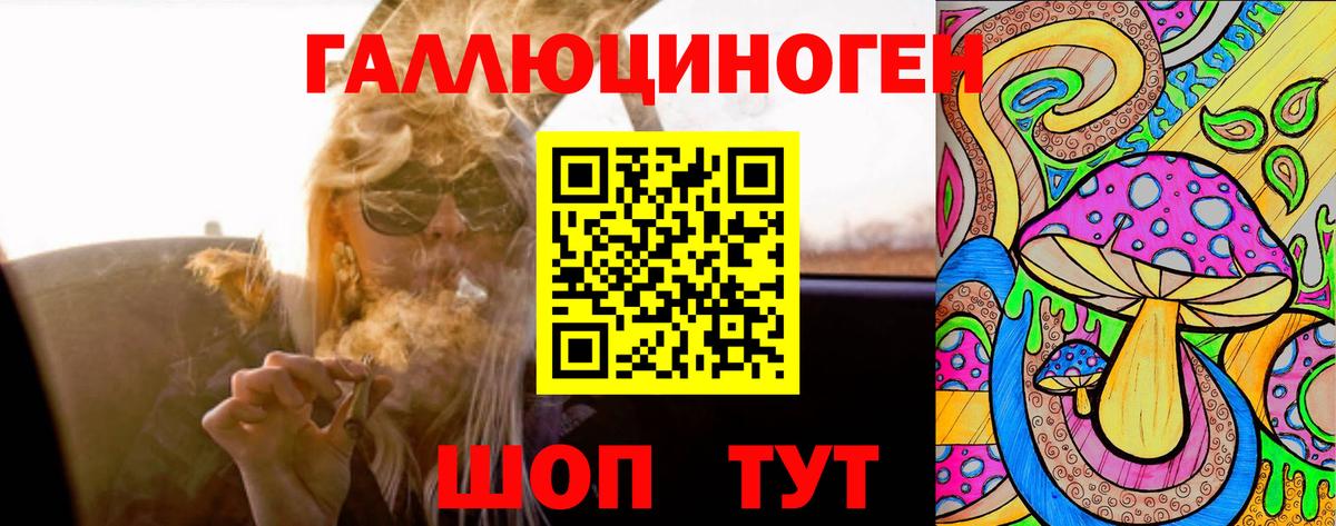 Псилоцибиновые грибы мицелий Алатырь